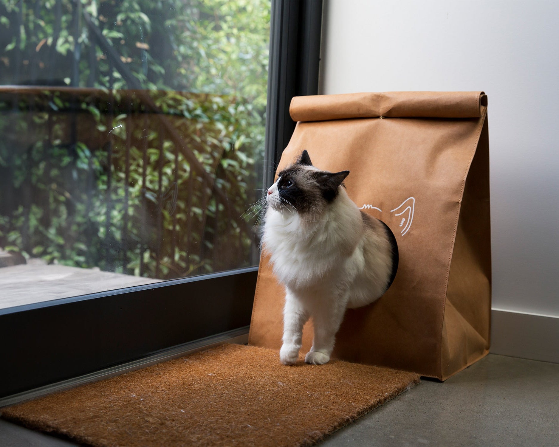 KeepetKosy - Cat
