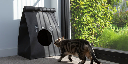 Cozy Scratch Bag - Midnight Black - Keepet Kosy