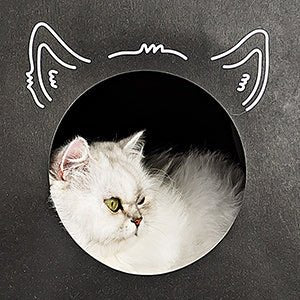 Cozy Scratch Bag - Midnight Black - Keepet Kosy